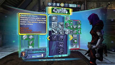 anarchy gaige builds.